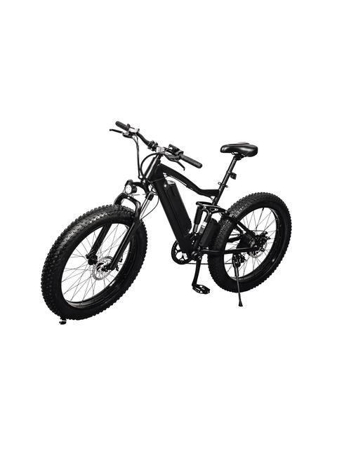 Electric Bikes