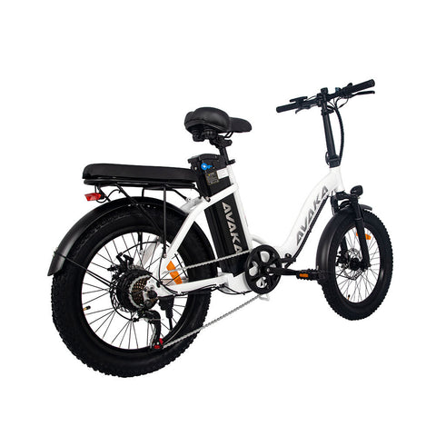 AVAKA BZ20PLUS E Bike Spoked Wheel 41Nm 48V 18.2AH 20''Electric Bike Max 43 Mile